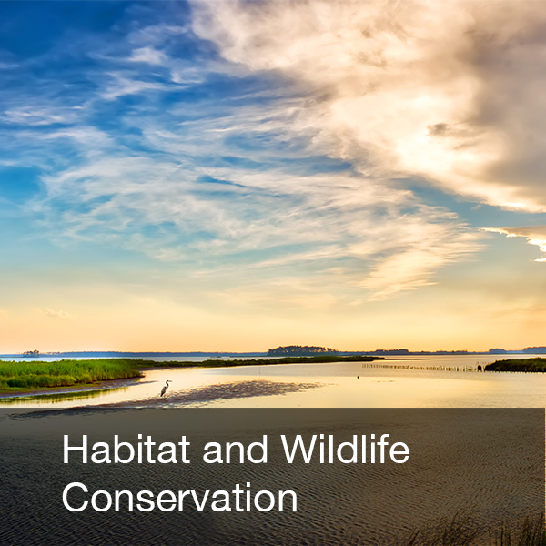 Habitat and Wildlife graphic